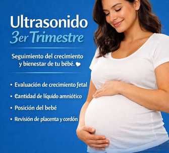 Описание изображения