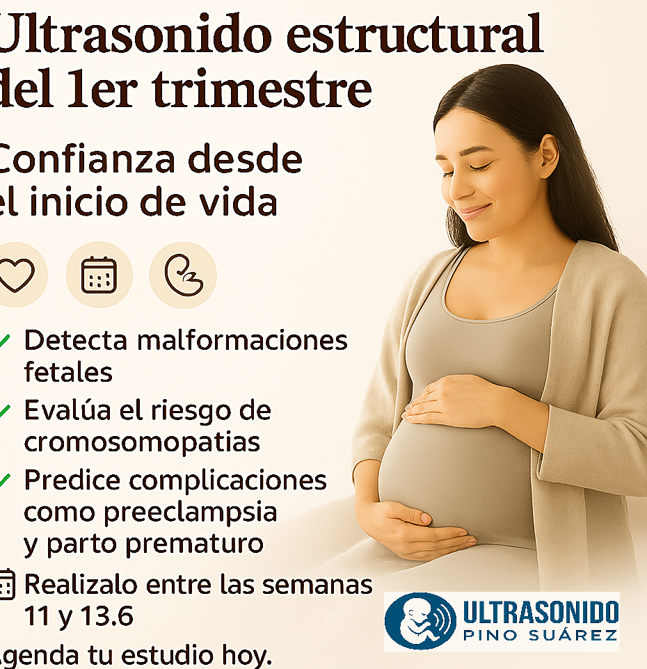 Описание изображения